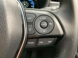 前方の車との車間を設定し、スピードを上げたり緩めたりを自動で行ってくれる追尾式の「レーダークルーズ」。上級装備の一つです!高級車にしかつかない嬉しい機能です。