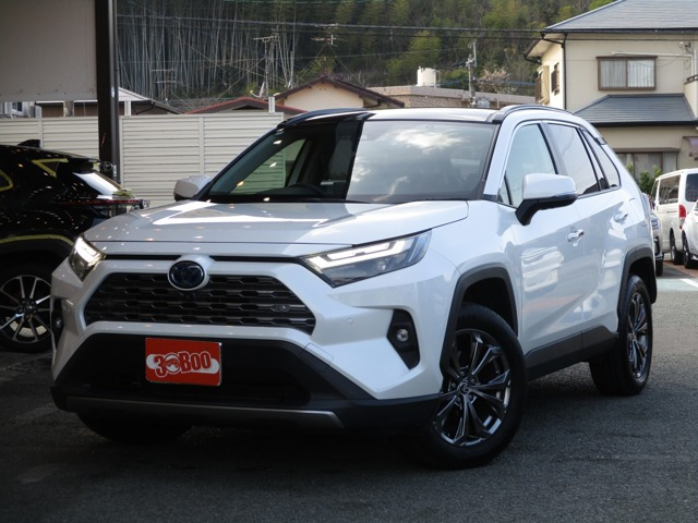 RAV4 2.5 ハイブリッド G E-Four 4WD 純正DA 全方位M 黒革ベンチレーション SR