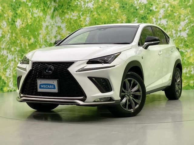 NX 300h Fスポーツ 