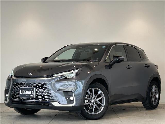 LBX リラックス 本革シート 修復歴無し