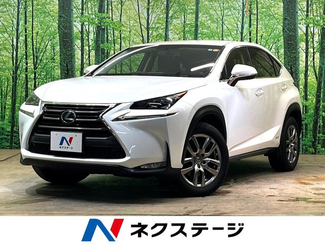 NX 300h Iパッケージ