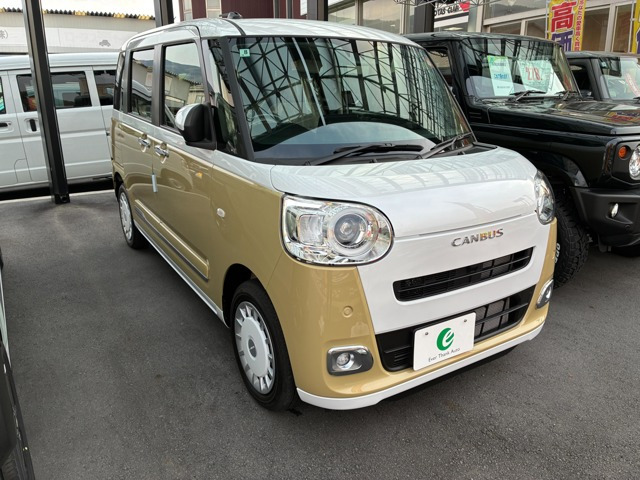 ムーヴキャンバス  ストライプス G