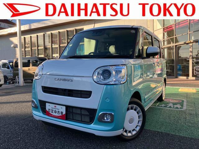 ムーヴキャンバス  ストライプス G