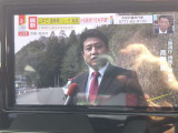 フルセグ付きで画像も綺麗です。