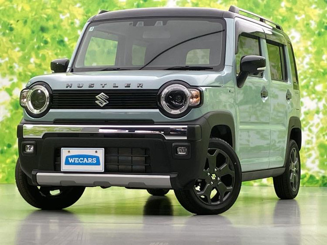 ハスラー タフワイルド 