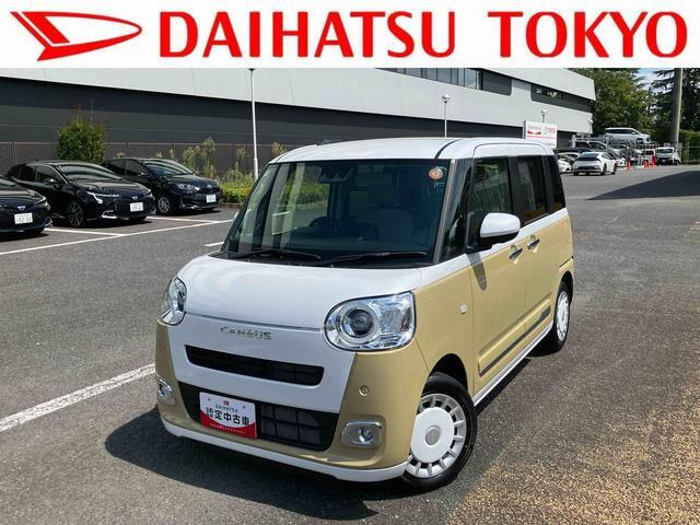 ムーヴキャンバス  ストライプス G