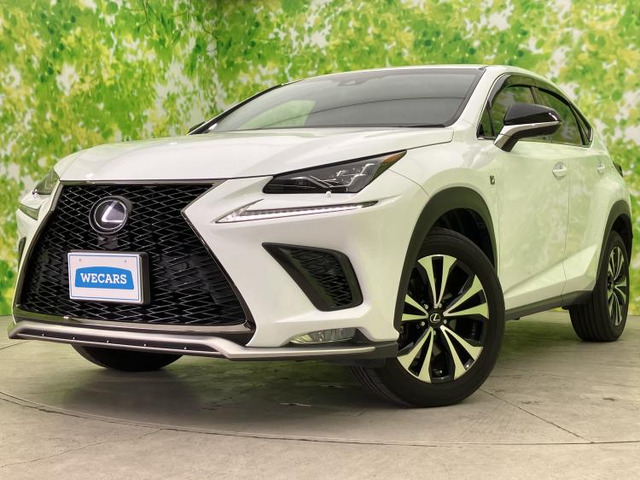 NX 300 Fスポーツ 