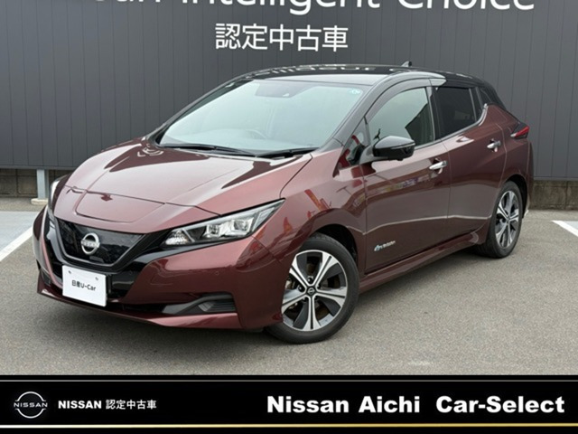 リーフ  X Vセレクション