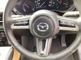 ハンドルも手にしっくり馴染み、握りやすくしっかり車の情報が伝わってきます。