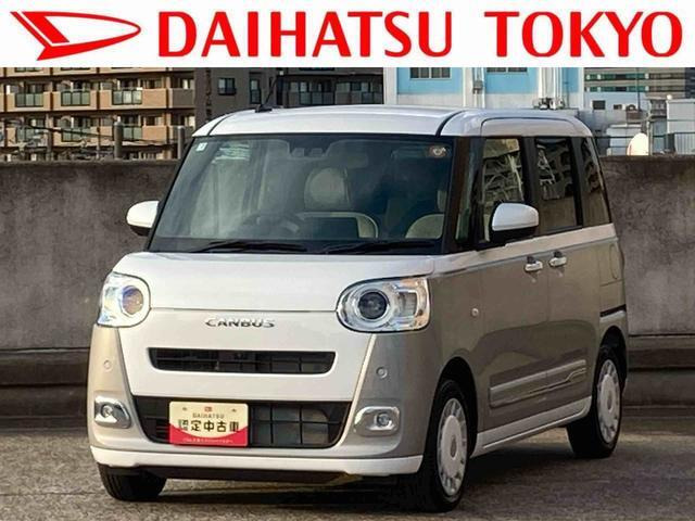 ムーヴキャンバス  ストライプス G