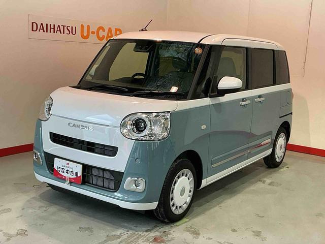 ムーヴキャンバス  ストライプス G