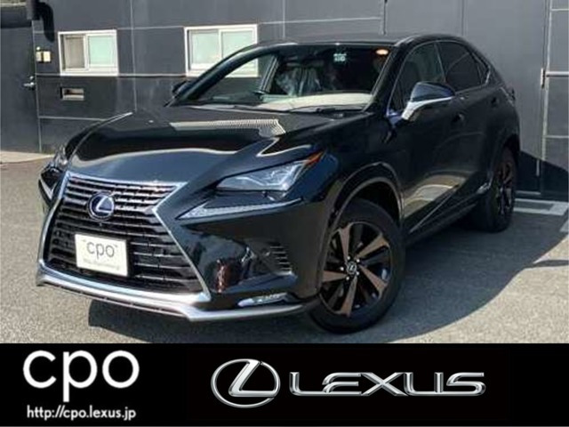 NX 300h スパイス&シック