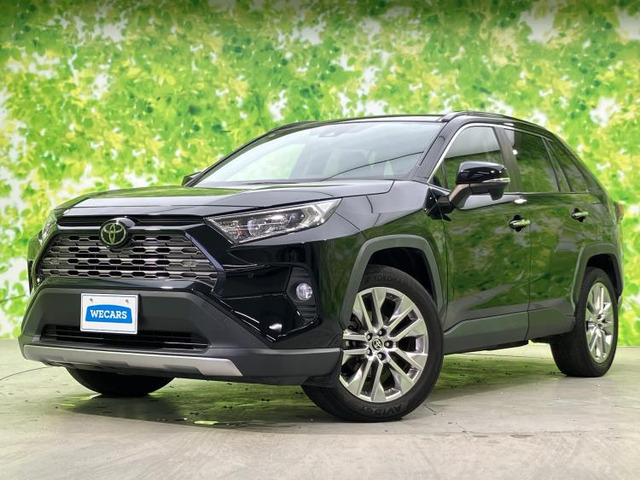 RAV4 2.0 G Zパッケージ 4WD 