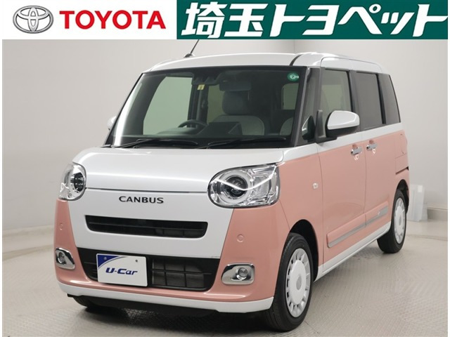 ムーヴキャンバス  ストライプス G