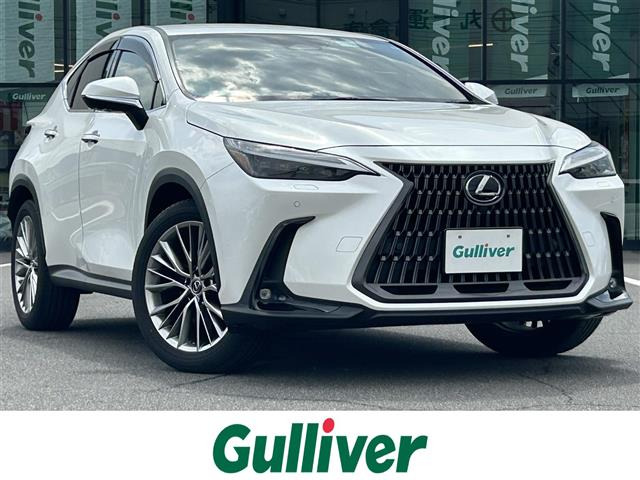 NX 250 バージョンL 本革シート 修復歴無し