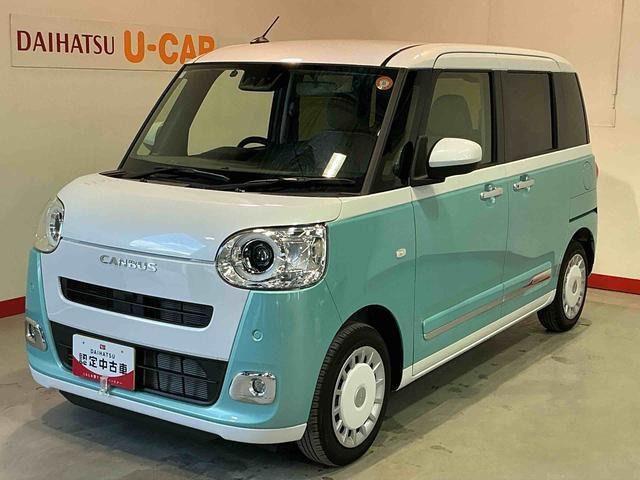 ムーヴキャンバス  ストライプス G