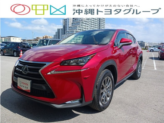 NX 300h Iパッケージ 