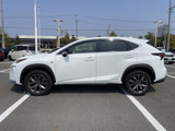 NX 300h Fスポーツ 