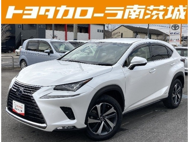 NX 300h Iパッケージ 