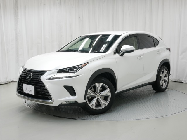 NX 300 バージョンL 4WD