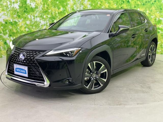 UX 250h バージョンL 