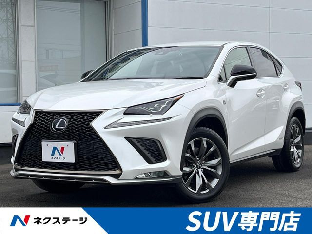NX 300h Fスポーツ 