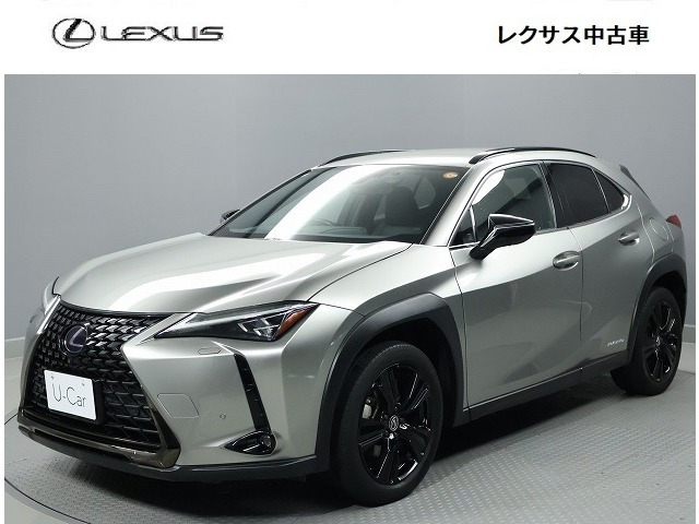 UX250h 4WDアーバン エレガンス 4WD