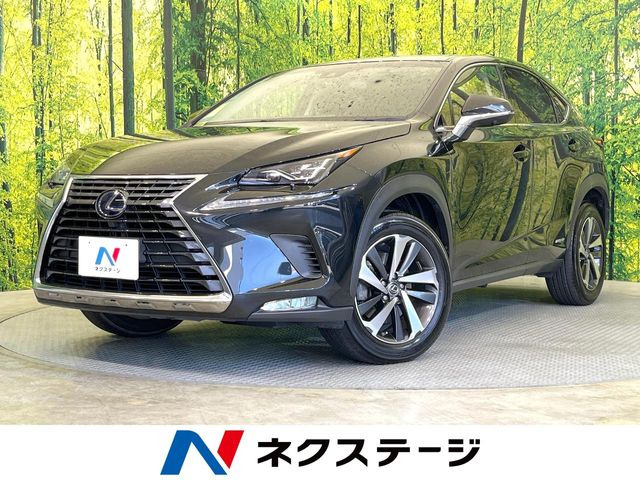 NX 300h Iパッケージ