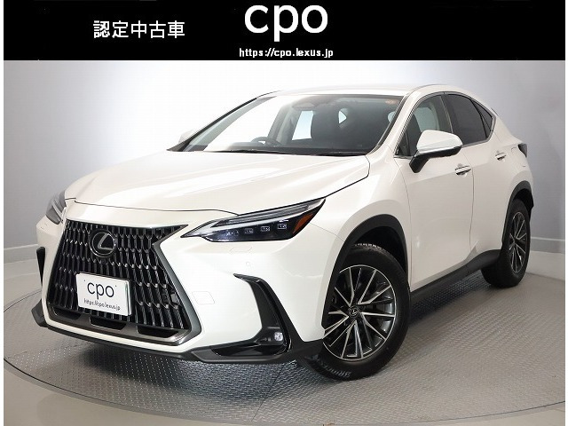 NX 250 バージョンL NX 250 バージョンL