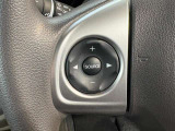 オーディオコントロールスイッチ付き!ハンドルを握ったままチャンネルや音量の調整が可能です。見た目以上に運転していると便利な機能なんですよ。