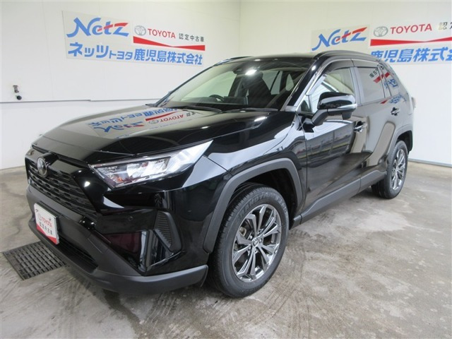RAV4 2.0 X 
