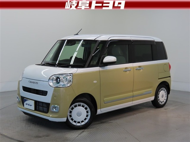 ムーヴキャンバス  ストライプス G