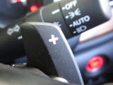 マニュアル車のような感覚で、ワインディングロードでも車を操れるパドルシフト付きです。長い下り坂でのエンジンブレーキや、高速道路の合流の際の加速も思いのままです。