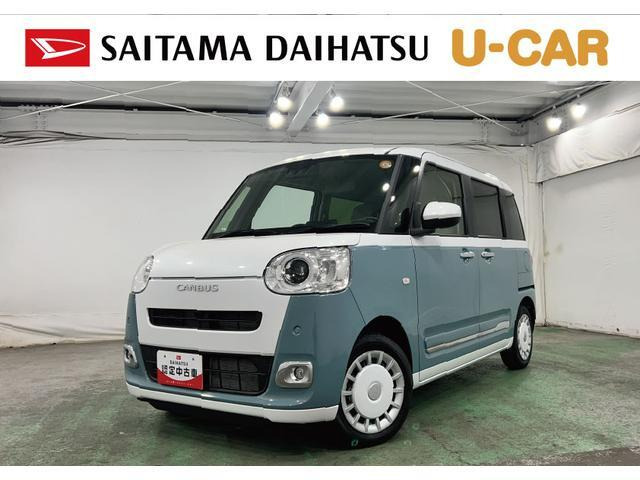 ムーヴキャンバス  ストライプス G