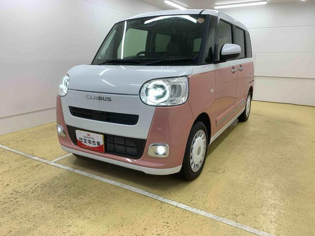 ムーヴキャンバス  ストライプス G