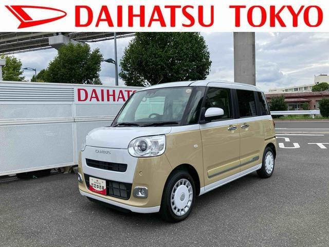 ムーヴキャンバス  ストライプス G