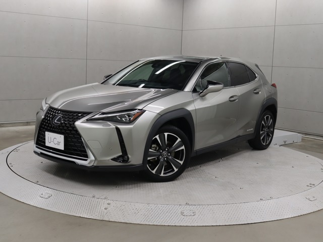UX 250h バージョンC 