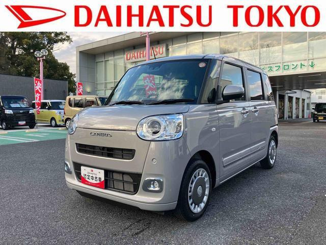 ムーヴキャンバス  セオリー G