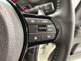 クルーズコントロールを装備しています。高速道路などで一定の速度で走ってくれるので運転が楽ですよ!速度を設定できますので、スピードの出しすぎにも注意できます。