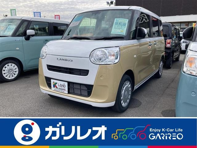 ムーヴキャンバス  ストライプス X