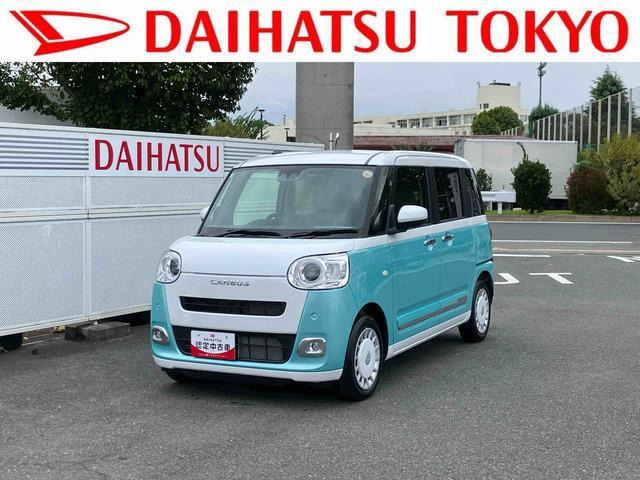 ムーヴキャンバス  ストライプス G