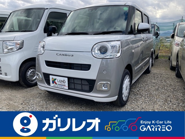 ムーヴキャンバス  ストライプス G