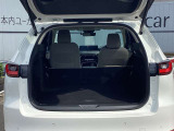 【ラゲッジスペース(リアシート収納時)】