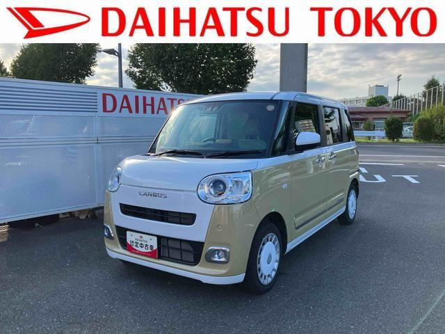 ムーヴキャンバス  ストライプス G