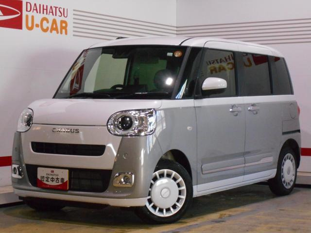 ムーヴキャンバス  ストライプス G