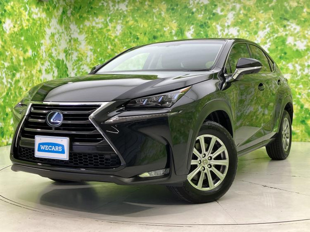 NX 300h Iパッケージ 