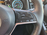 クルーズコントロール付いています☆