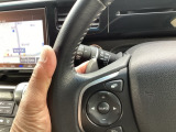 マニュアル車のような感覚で、ワインディングロードでも車を操れるパドルシフト付きです。長い下り坂でのエンジンブレーキや、高速道路の合流の際の加速も思いのままに操ることができ楽しめます