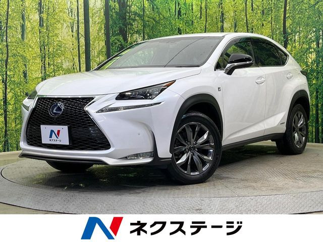 NX 300h Fスポーツ 