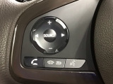 ステアリングにオーディオ操作スイッチが付いています。オーディオ画面に直接タッチしなくても操作が出来ますので、運転に集中できます。